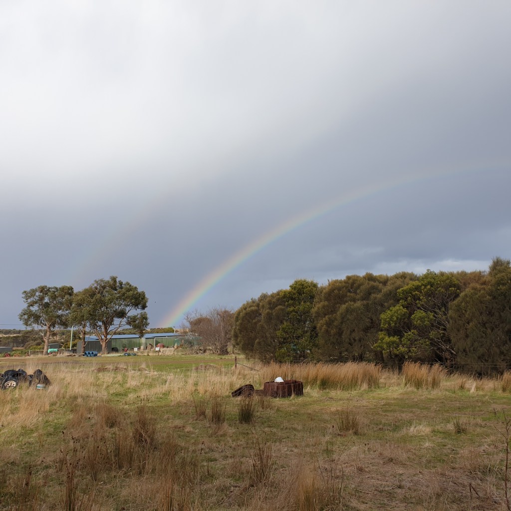 Ghosts Are Speaking – the morning after the&nbsp;storm